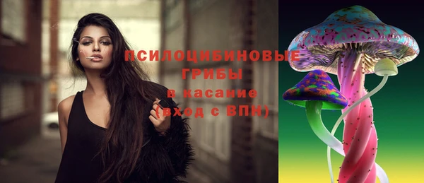 сатива Армянск