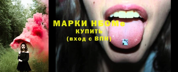 стаф Аркадак