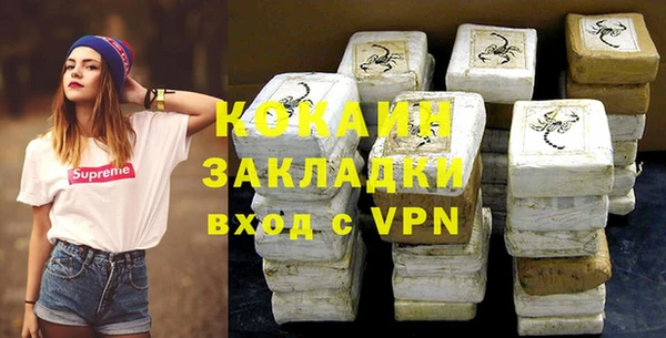 шишки Каменногорск