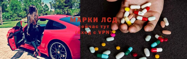 стаф Аркадак