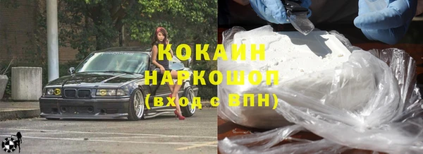 стаф Аркадак