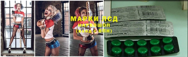 стаф Аркадак