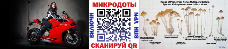 Галлюциногенные грибы Psilocybe  Голицыно 